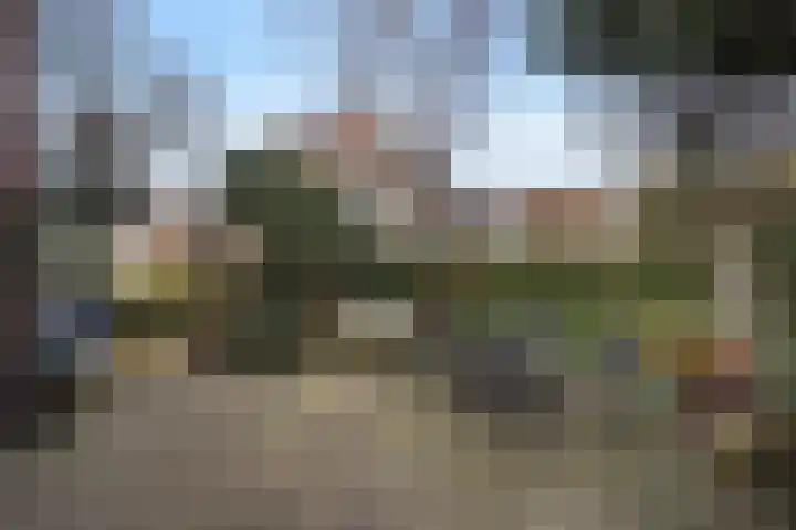 Patrijslaan 21 Den Haag thumbnail 22
