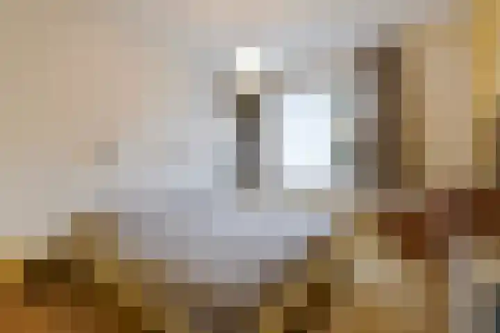 Patrijslaan 21 Den Haag thumbnail 41