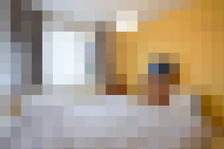 Patrijslaan 21 Den Haag thumbnail 42