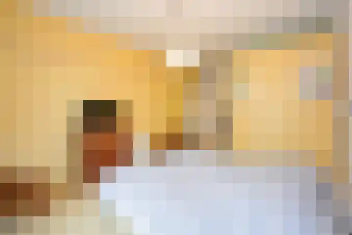 Patrijslaan 21 Den Haag thumbnail 43