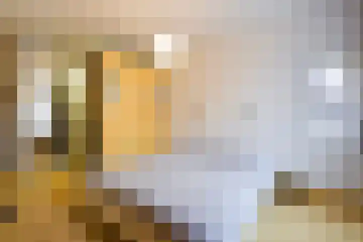 Patrijslaan 21 Den Haag thumbnail 44