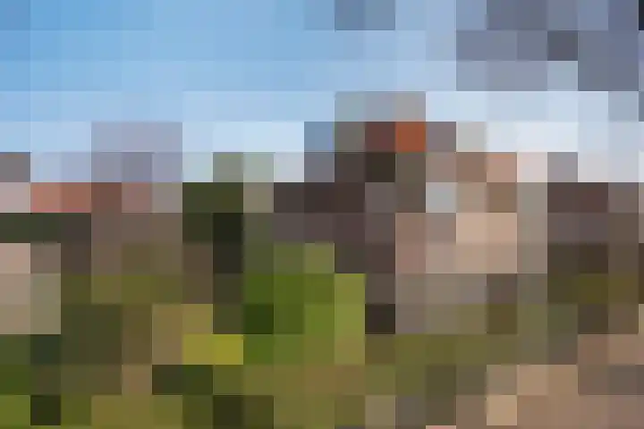 Patrijslaan 21 Den Haag thumbnail 5