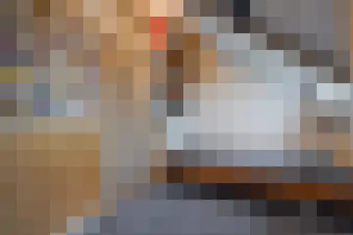 Patrijslaan 21 Den Haag thumbnail 56