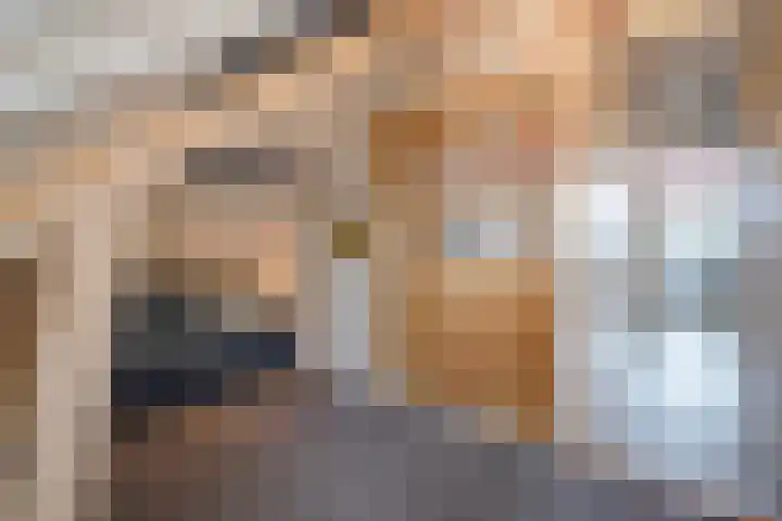 Patrijslaan 21 Den Haag thumbnail 57