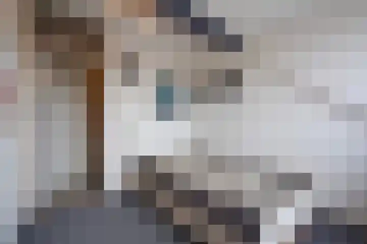 Patrijslaan 21 Den Haag thumbnail 60