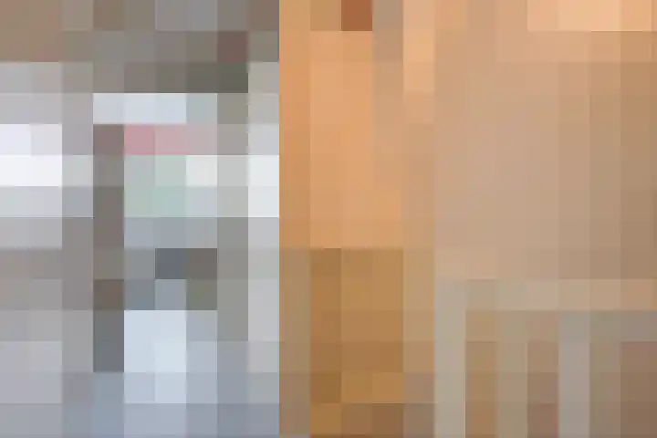 Patrijslaan 21 Den Haag thumbnail 61