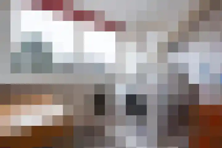 Patrijslaan 21 Den Haag thumbnail 64