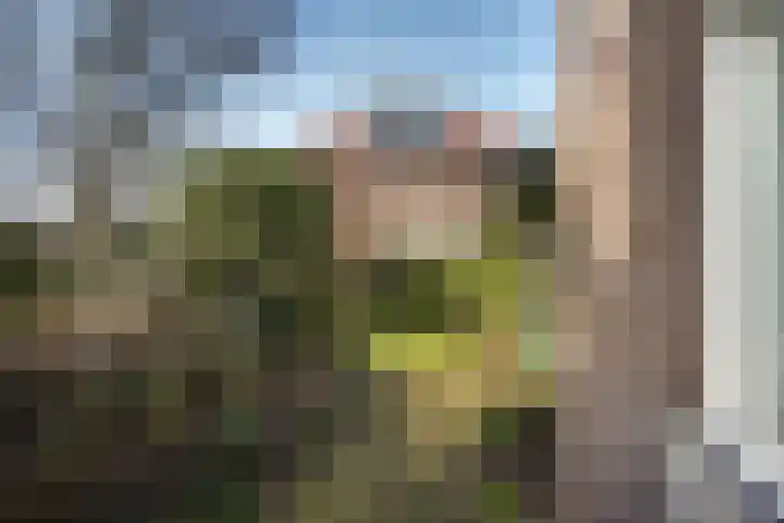Patrijslaan 21 Den Haag thumbnail 66