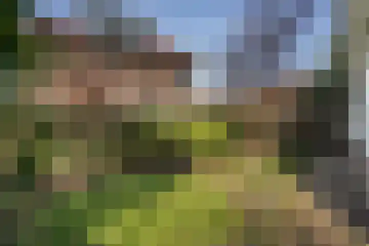 Patrijslaan 21 Den Haag thumbnail 67