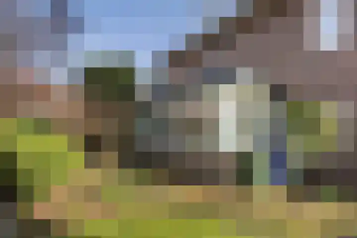 Patrijslaan 21 Den Haag thumbnail 68