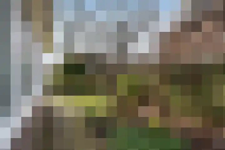 Patrijslaan 21 Den Haag thumbnail 69
