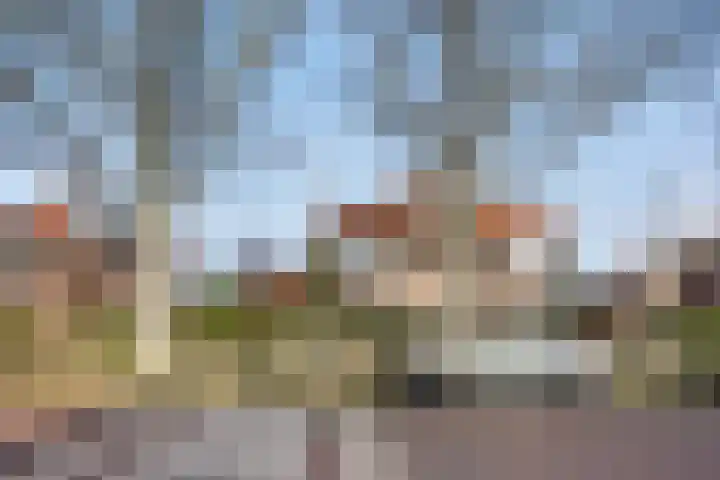 Patrijslaan 21 Den Haag thumbnail 71