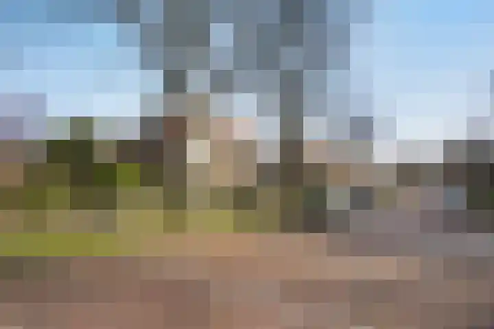 Patrijslaan 21 Den Haag thumbnail 73