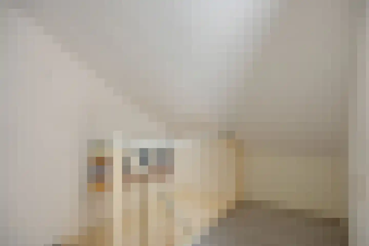 Patrijslaan 24 Honselersdijk thumbnail 20