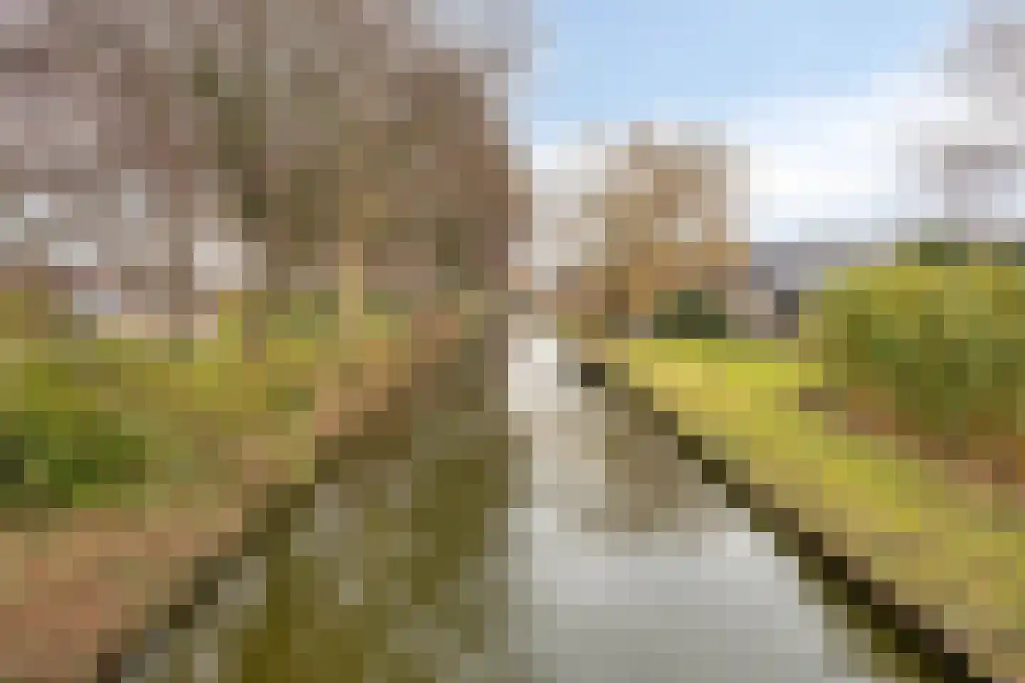 Patrijslaan 24 Honselersdijk thumbnail 31
