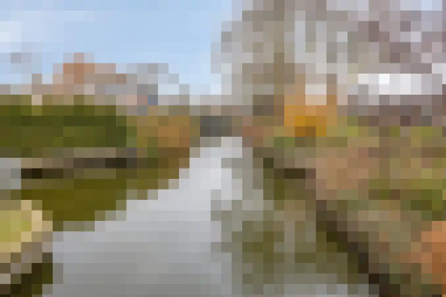 Patrijslaan 24 Honselersdijk thumbnail 32