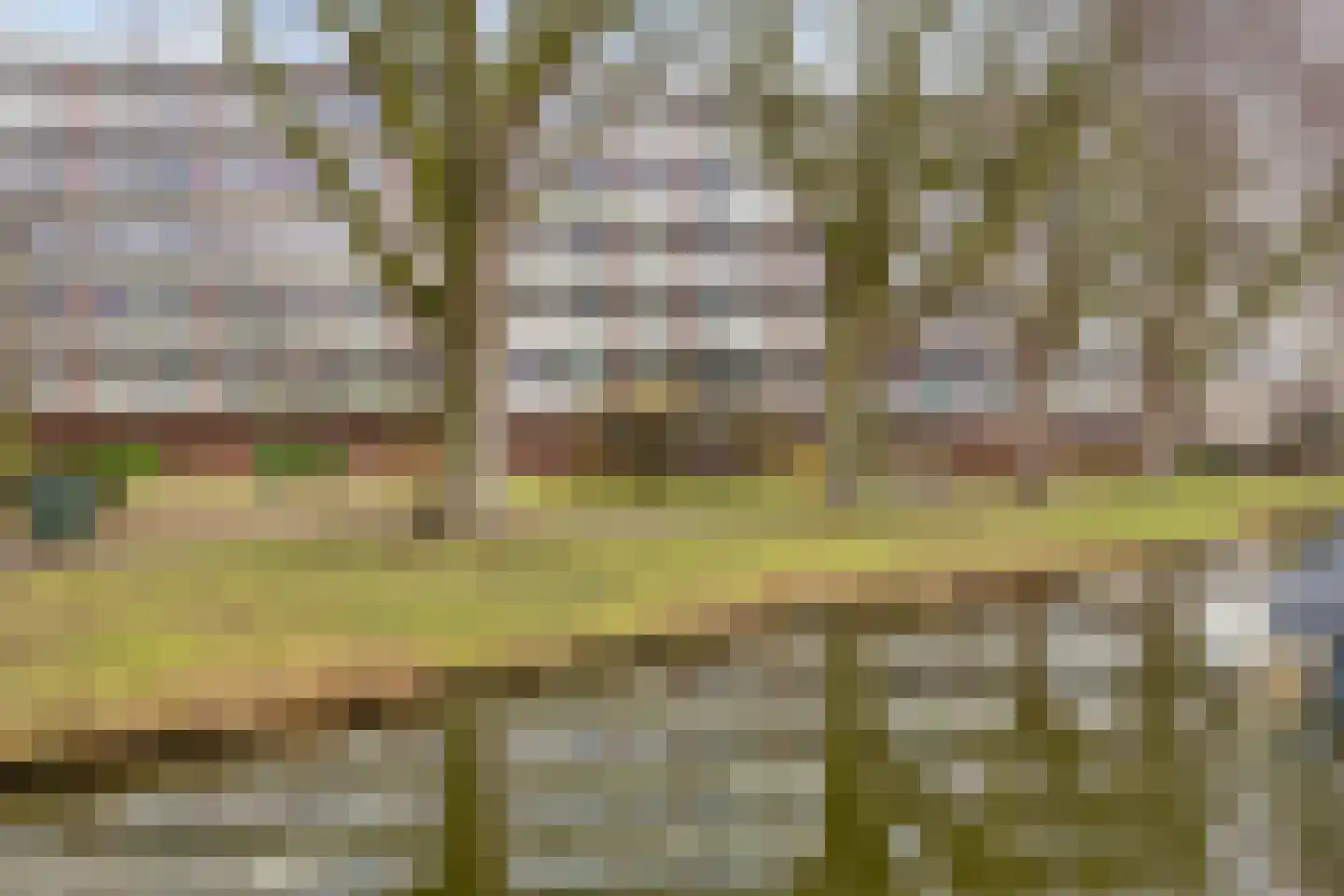 Patrijslaan 24 Honselersdijk thumbnail 33