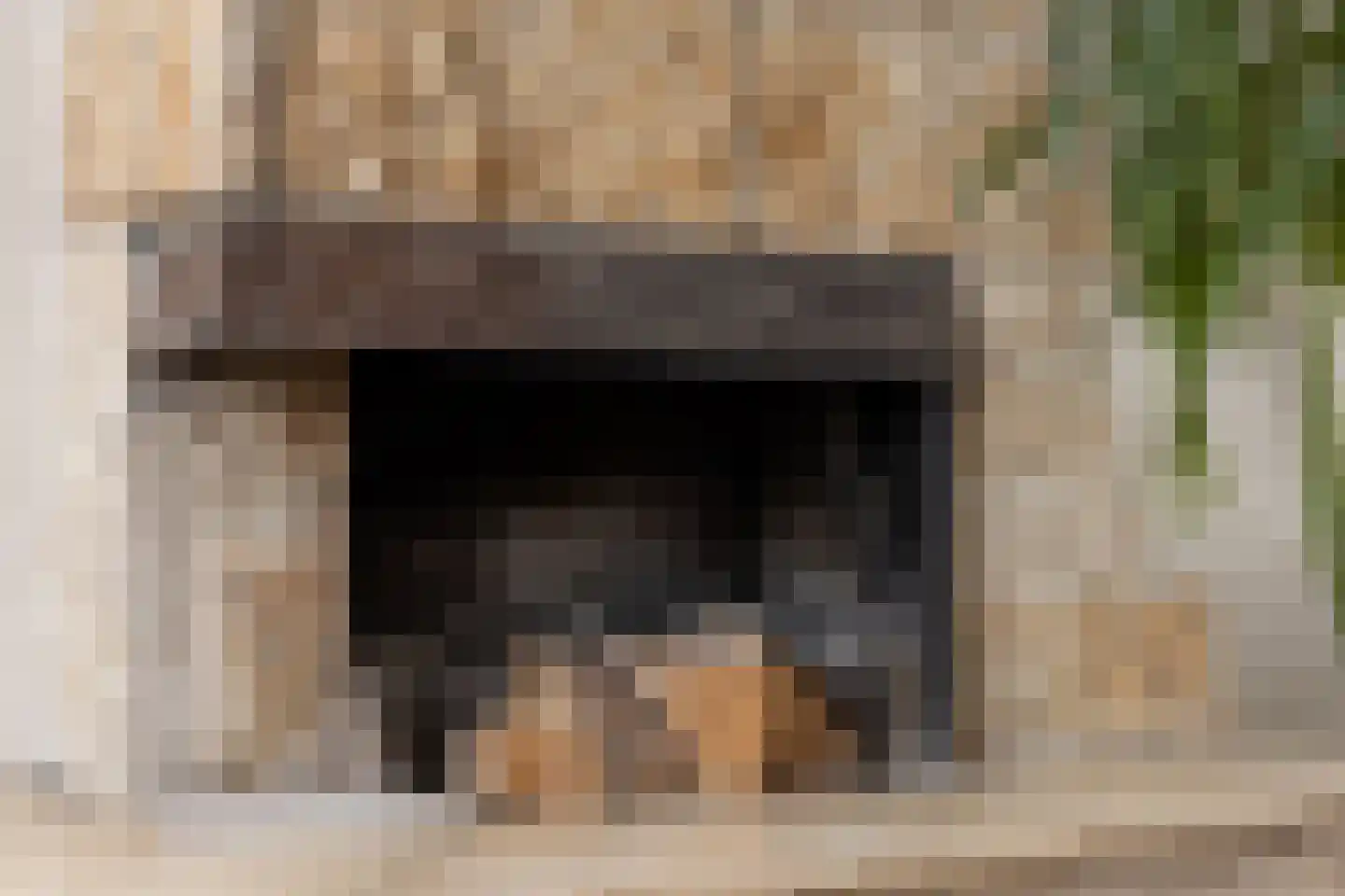 Patrijslaan 24 Honselersdijk thumbnail 5