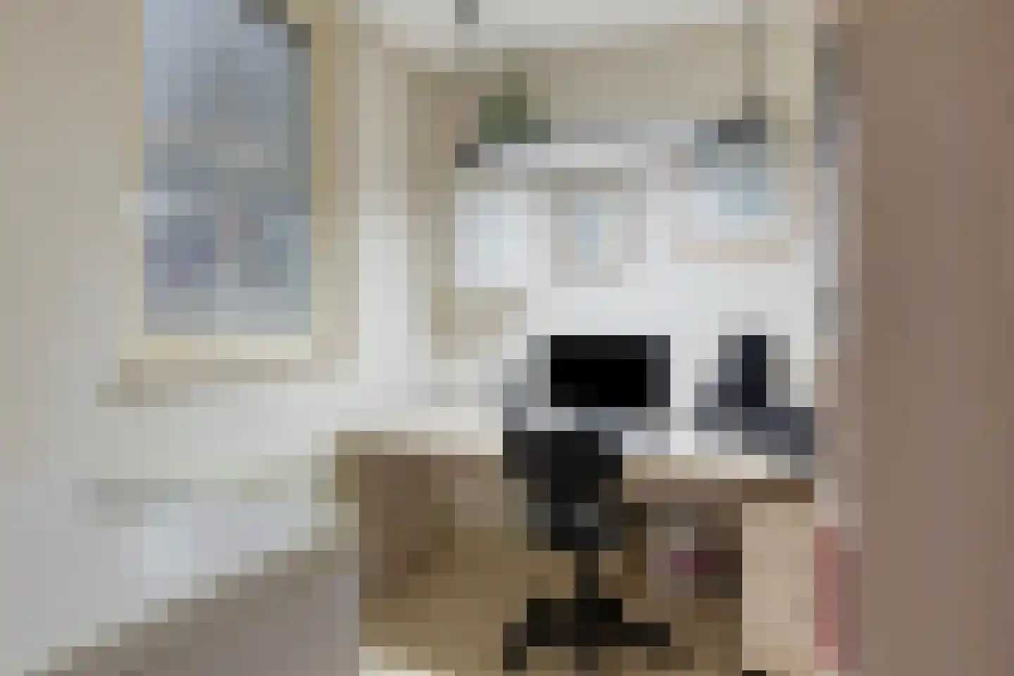 Patrijslaan 28 Budel thumbnail 13