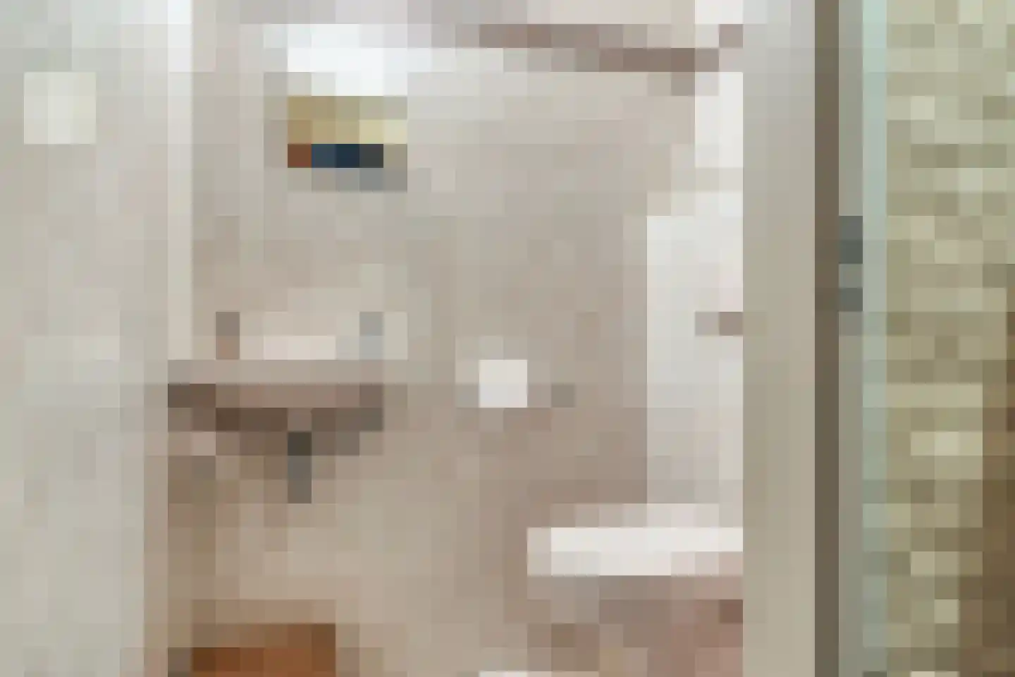 Patrijslaan 28 Budel thumbnail 14