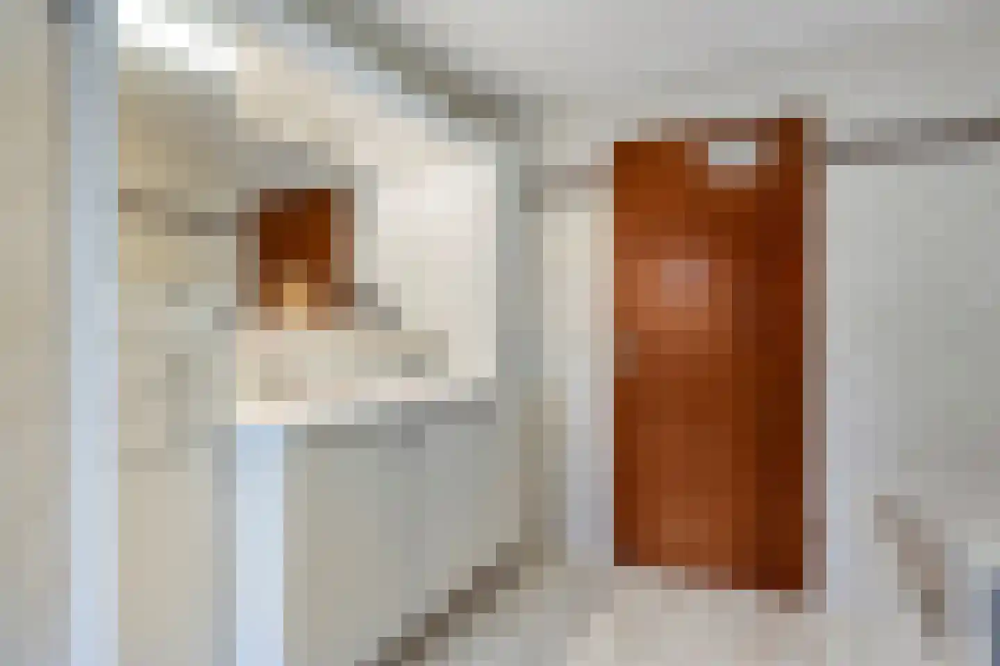 Patrijslaan 28 Budel thumbnail 23