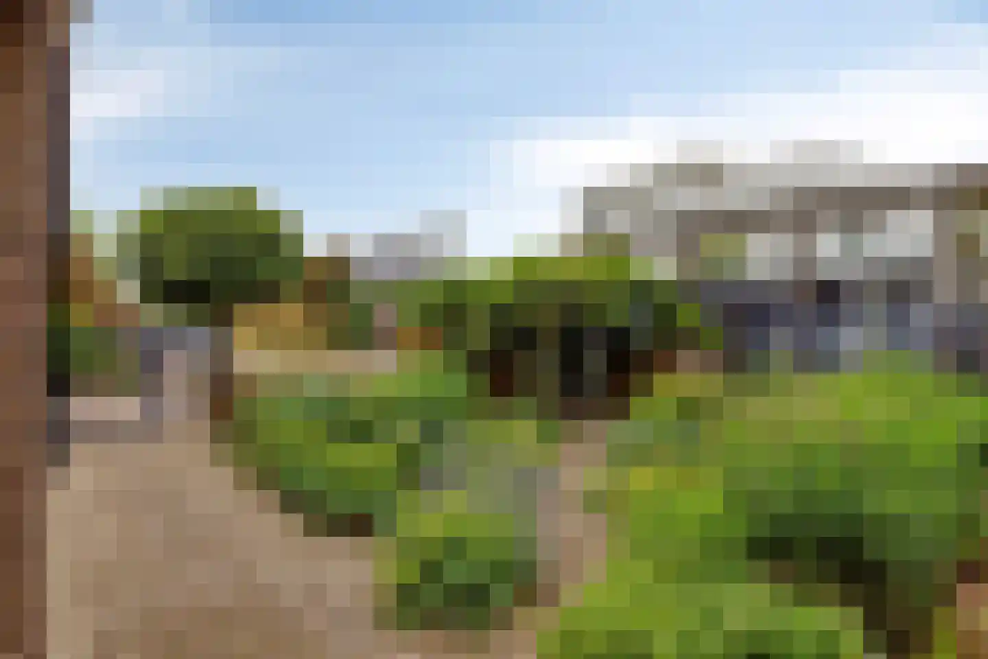 Patrijslaan 28 Budel thumbnail 31
