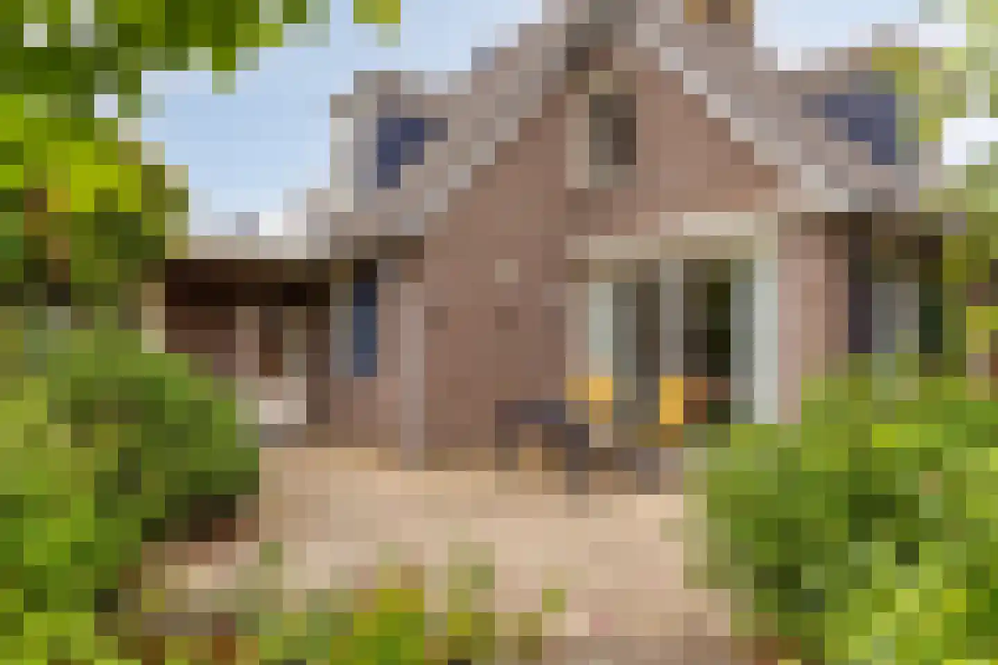 Patrijslaan 28 Budel thumbnail 32