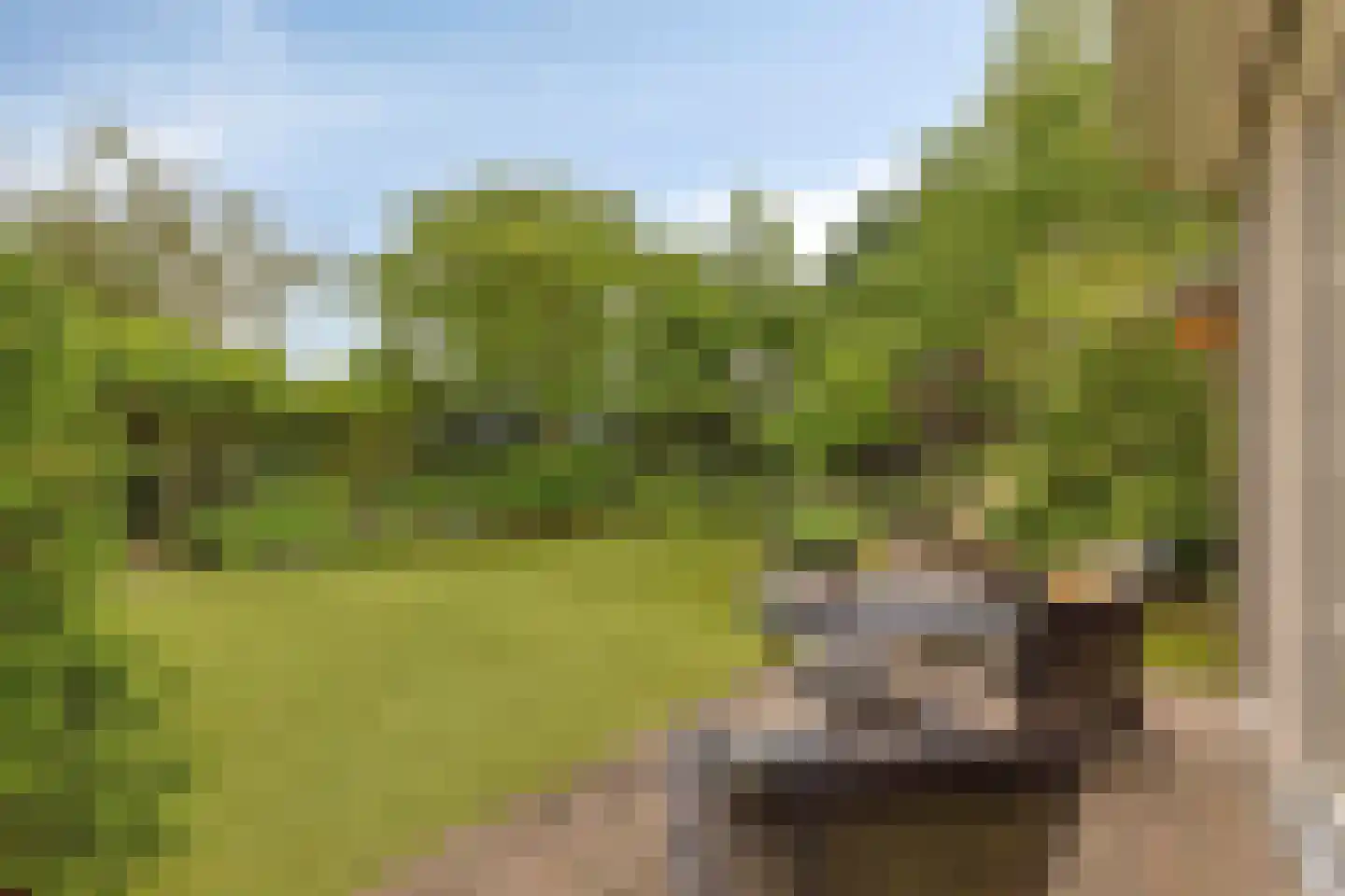 Patrijslaan 28 Budel thumbnail 36