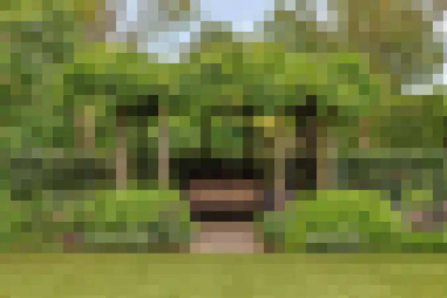 Patrijslaan 28 Budel thumbnail 37