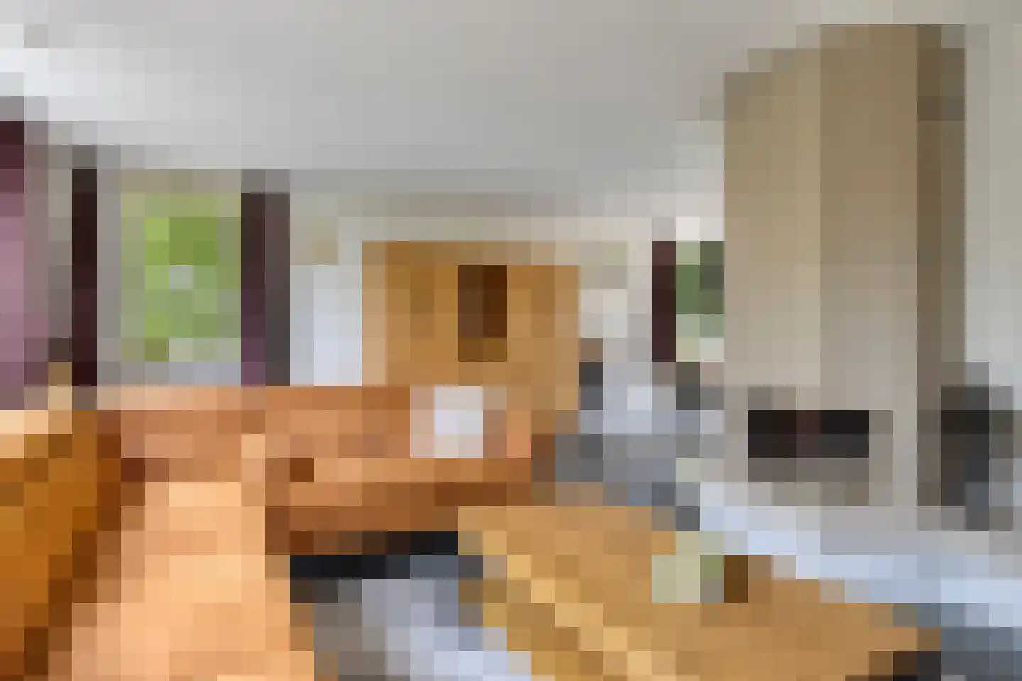 Patrijslaan 28 Budel thumbnail 4