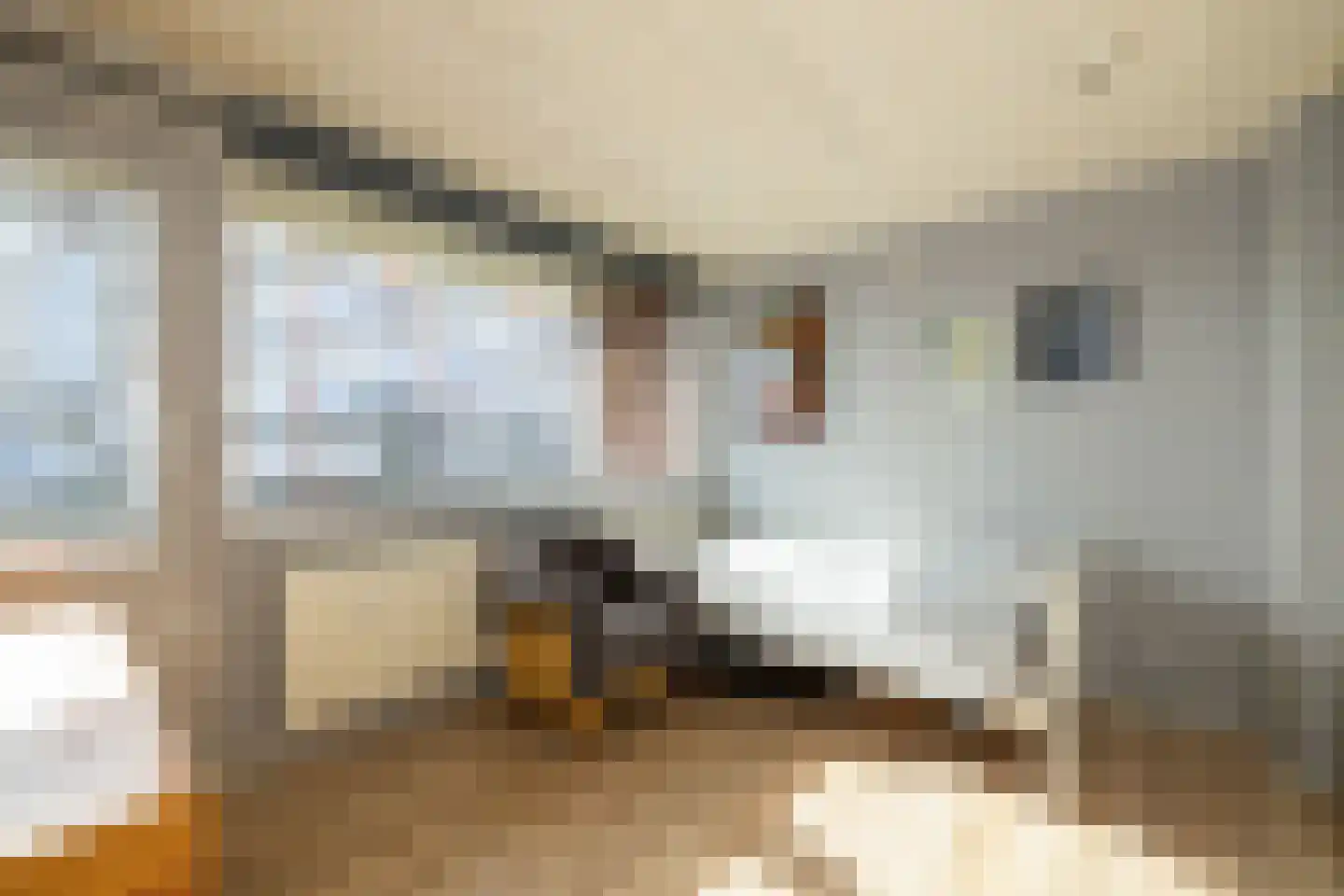 Patrijslaan 30 Honselersdijk thumbnail 23