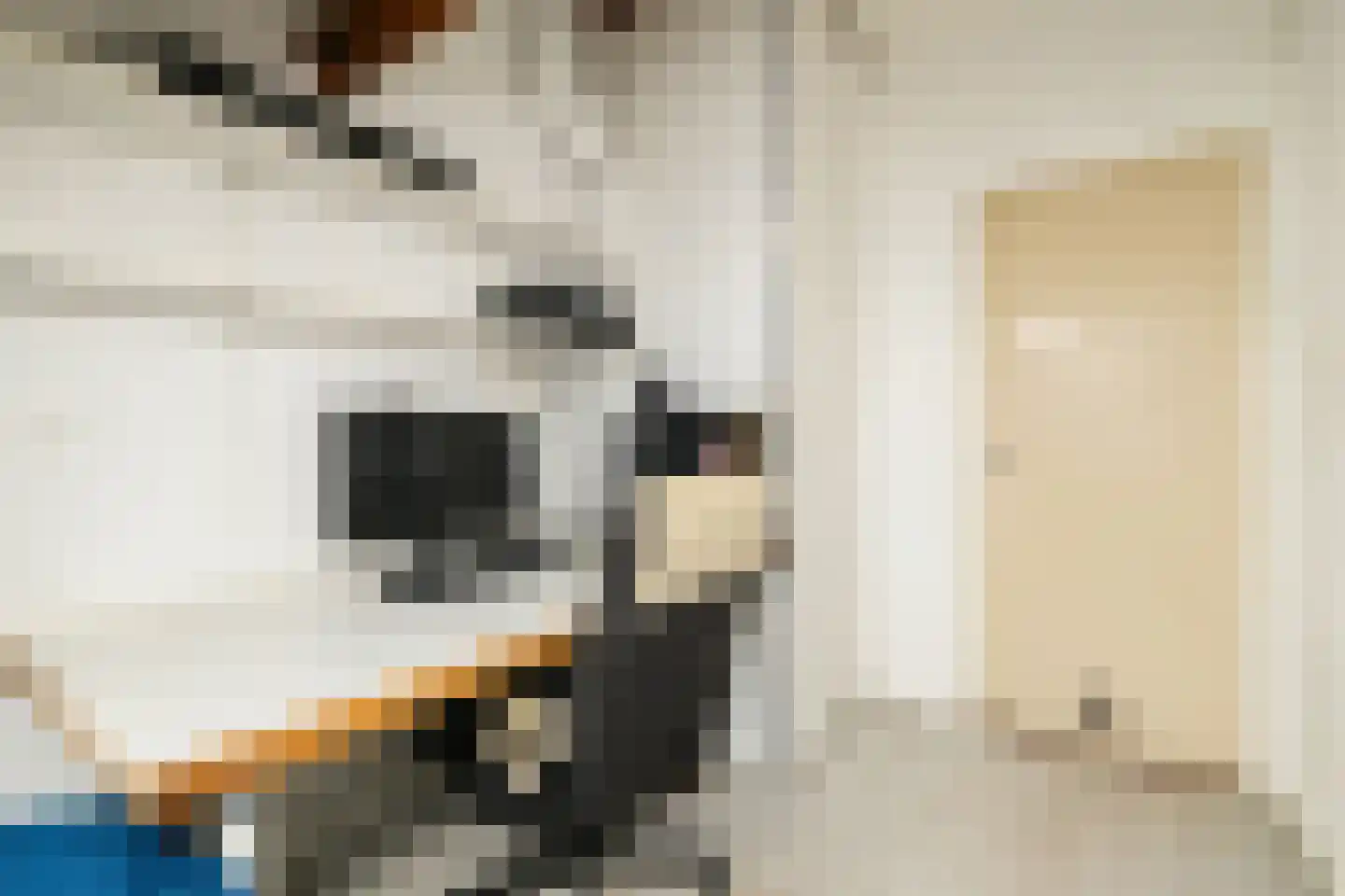 Patrijslaan 30 Honselersdijk thumbnail 34