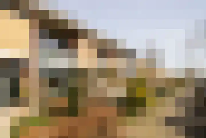 Patrijslaan 30 Honselersdijk thumbnail 38