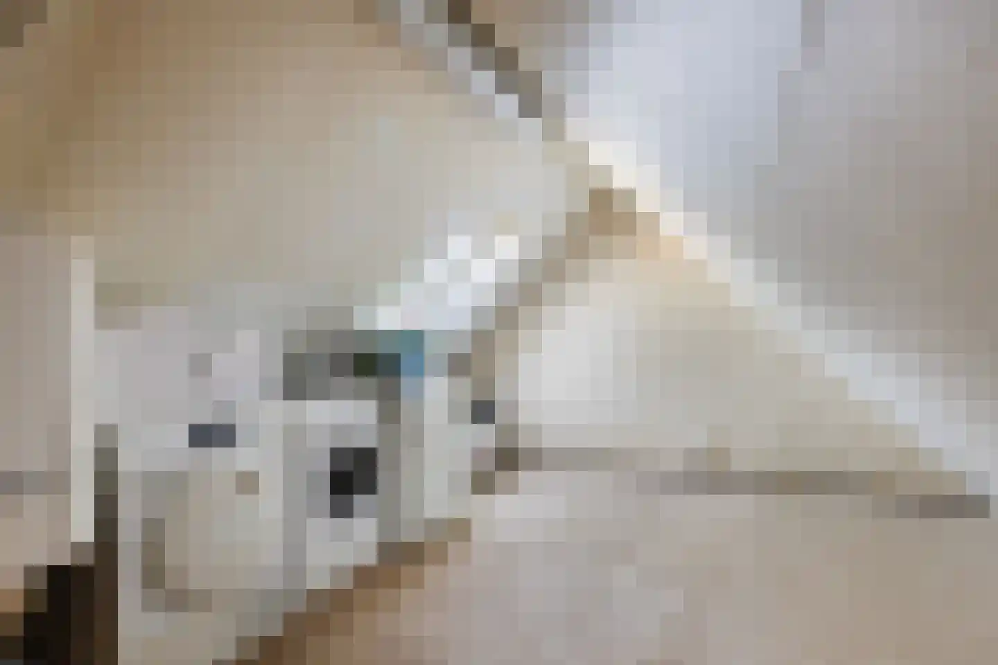 Patrijslaan 30 Numansdorp thumbnail 27