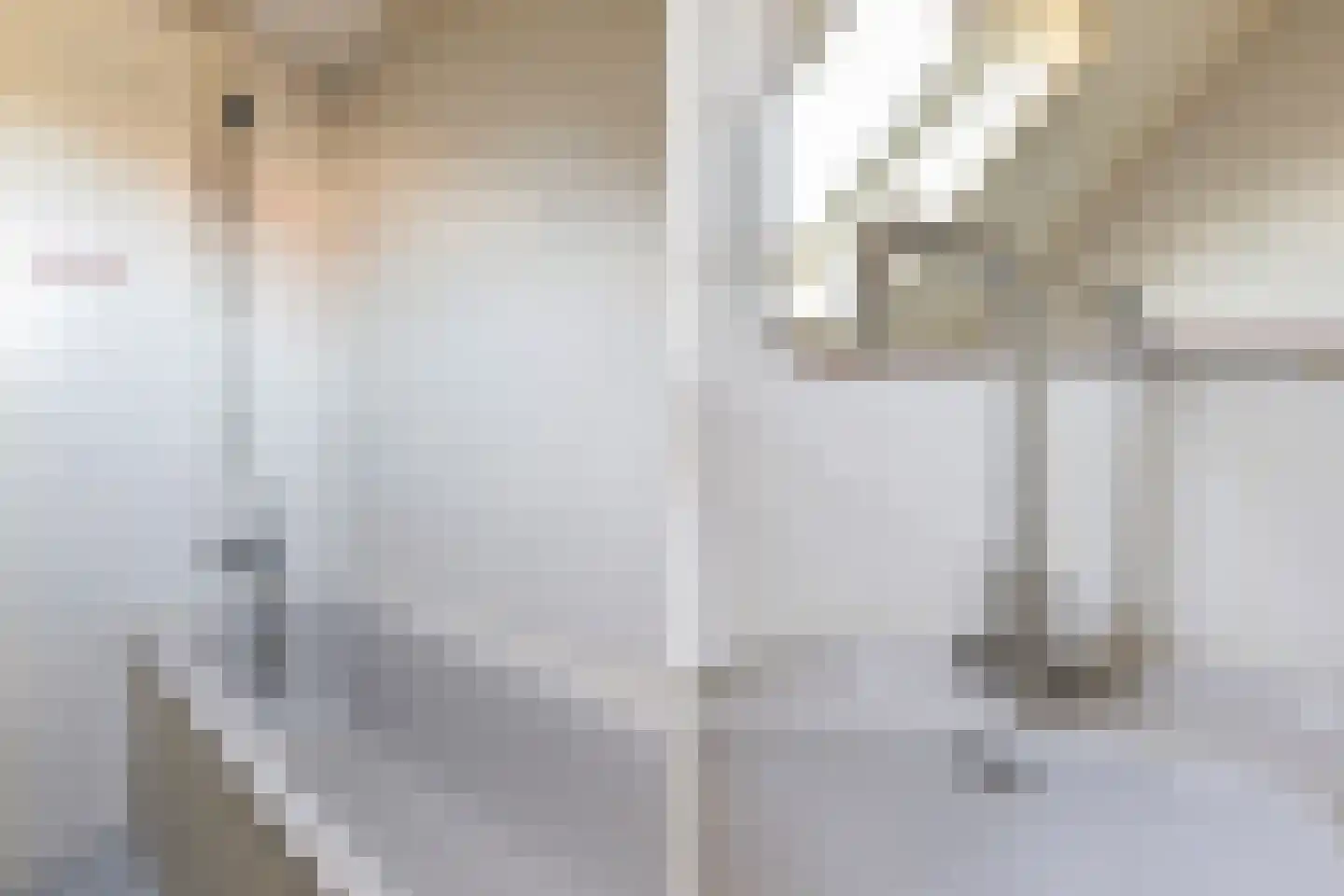 Patrijslaan 30 Numansdorp thumbnail 29