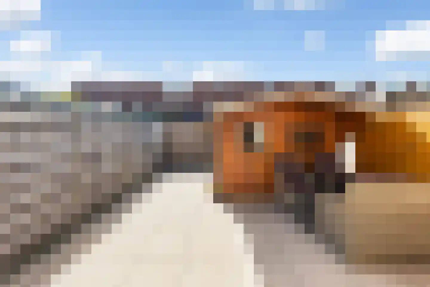 Patrijslaan 30 Numansdorp thumbnail 30