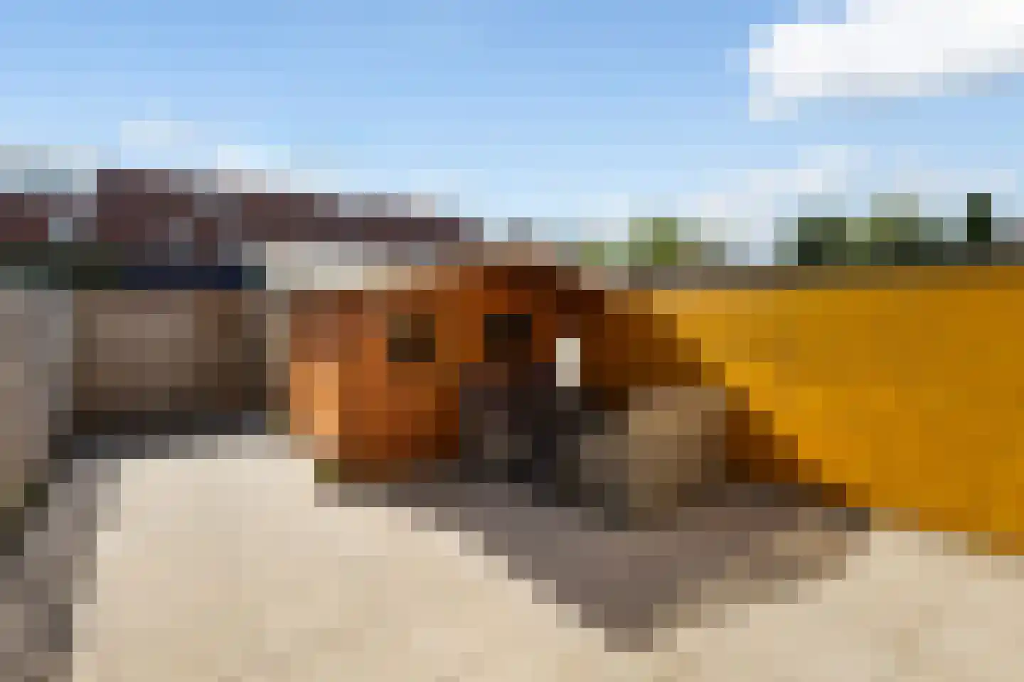 Patrijslaan 30 Numansdorp thumbnail 31