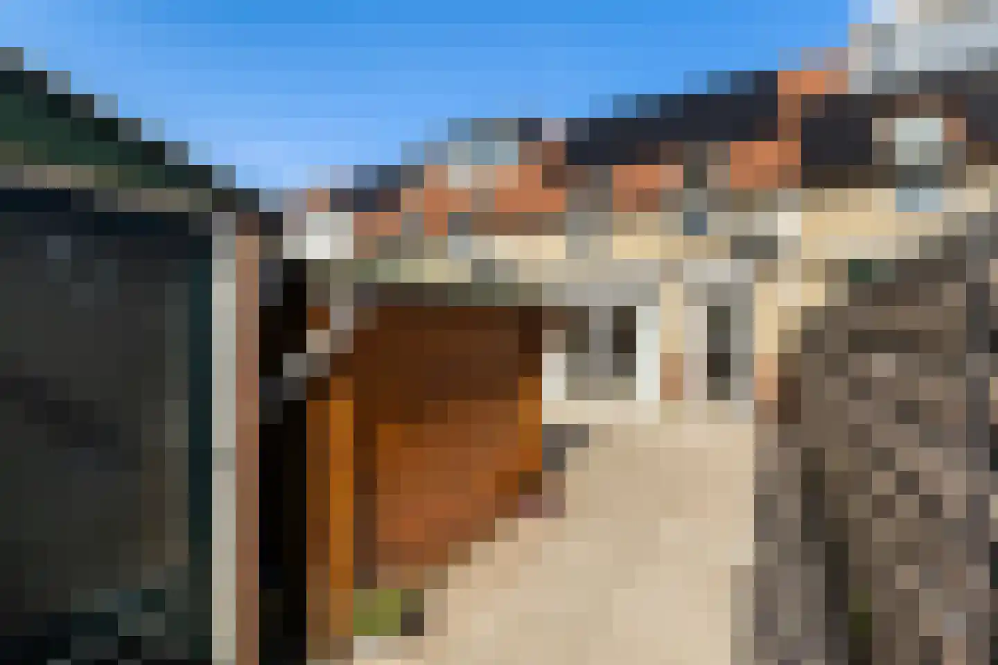Patrijslaan 30 Numansdorp thumbnail 5