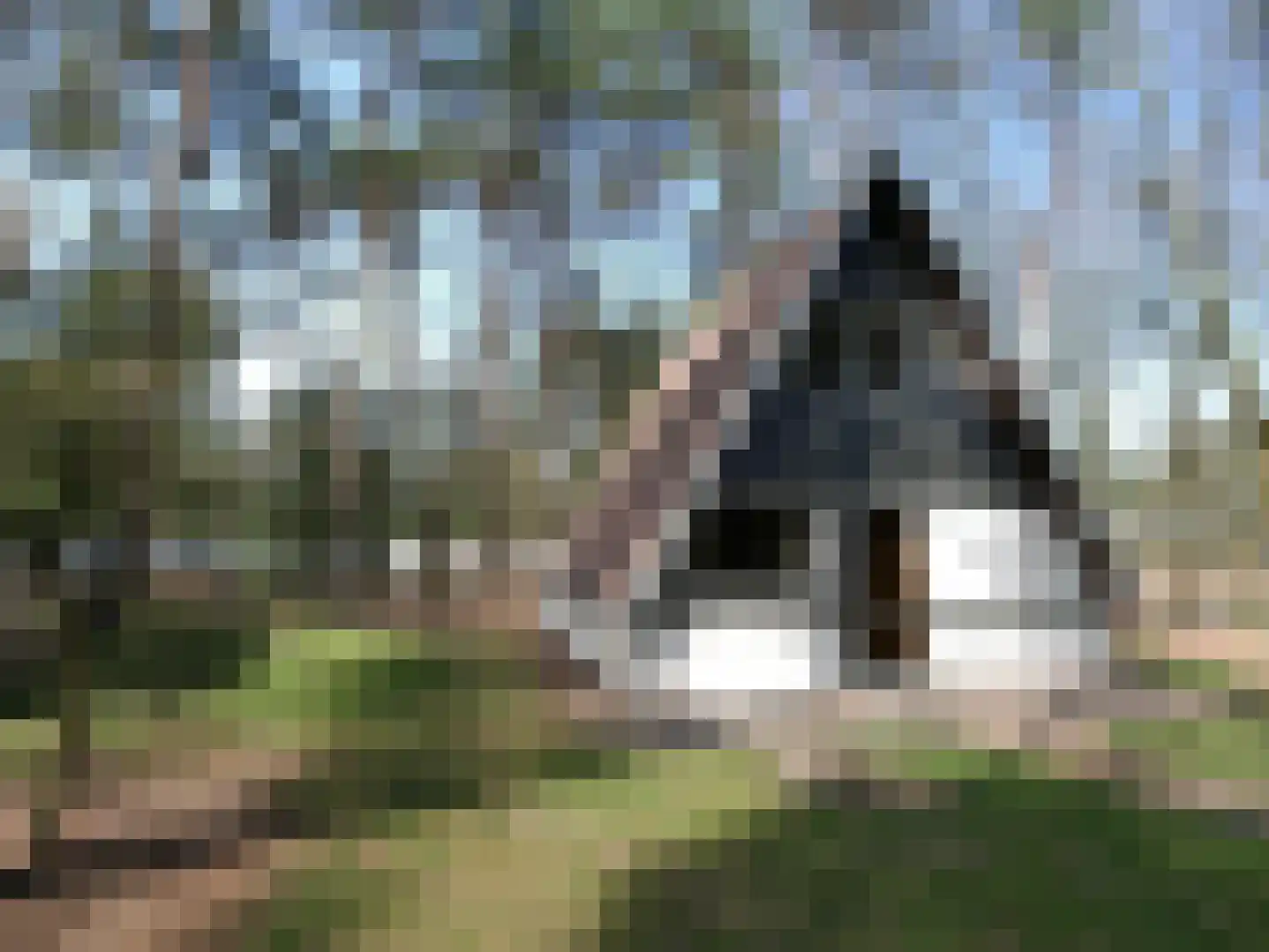 Patrijslaan 4 76 in Mierlo