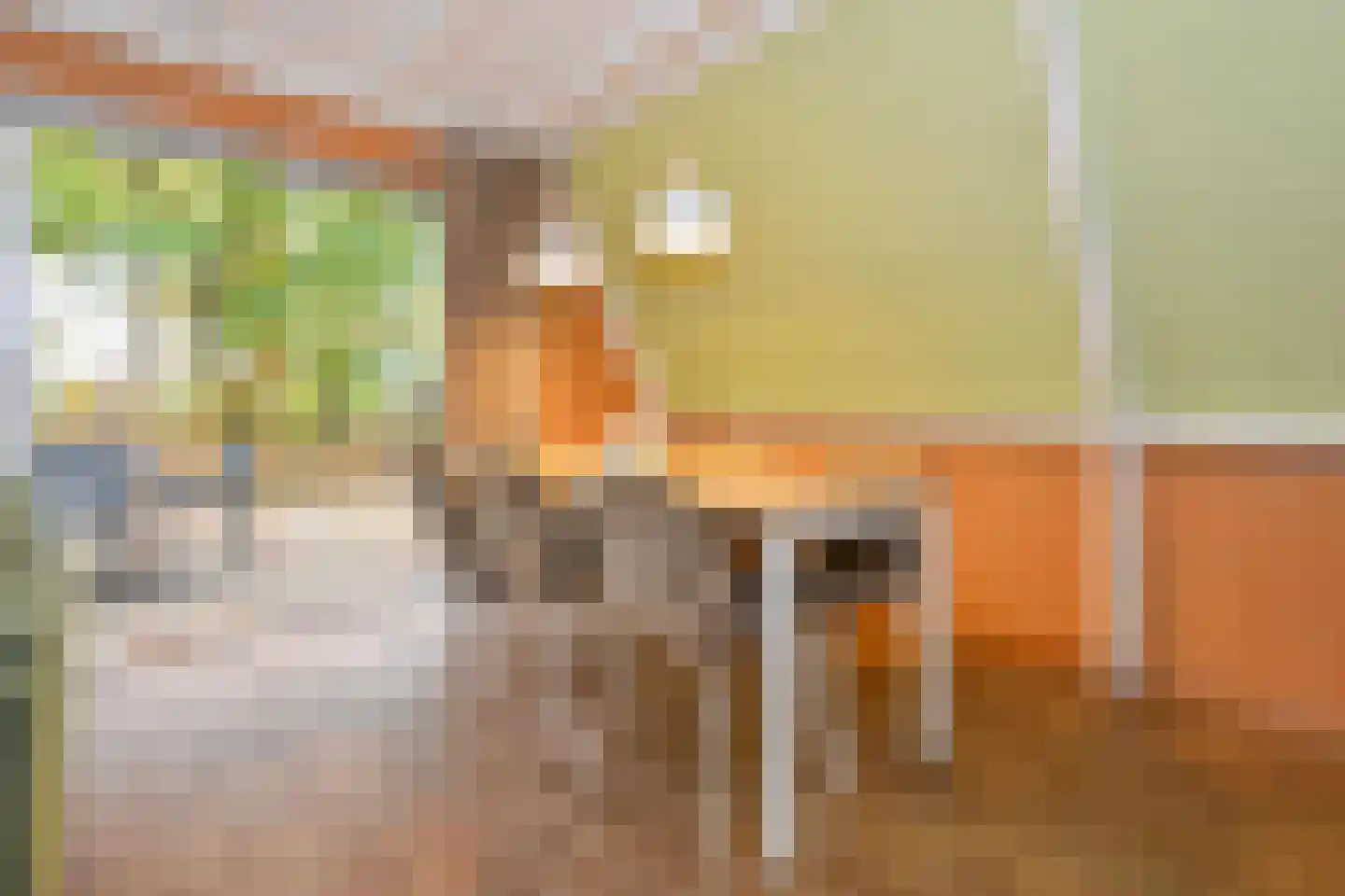 Patrijslaan 4 76 Mierlo thumbnail 10