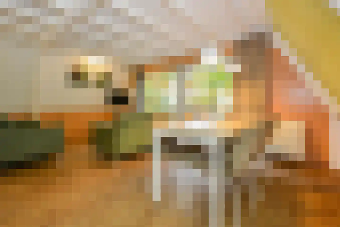 Patrijslaan 4 76 Mierlo thumbnail 11