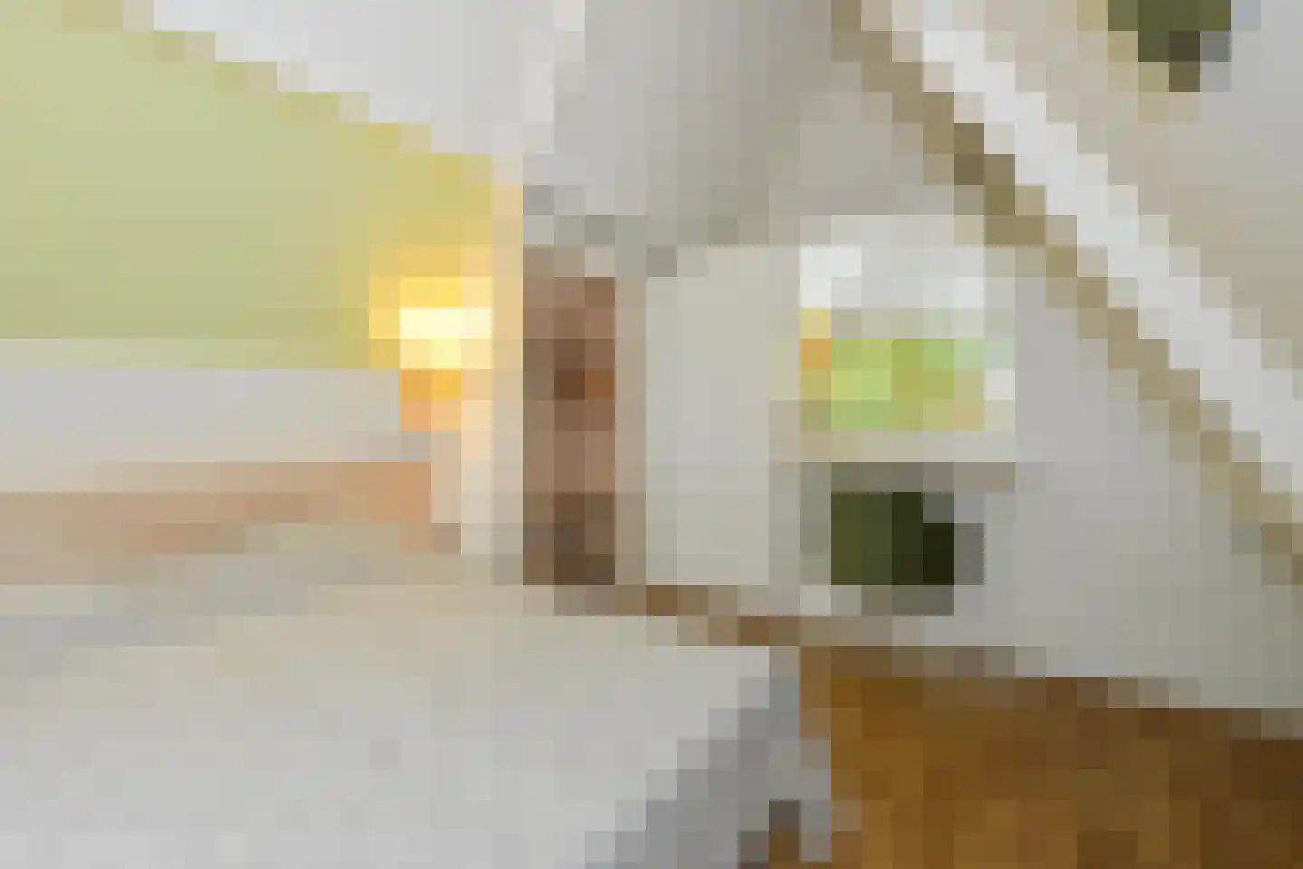 Patrijslaan 4 76 Mierlo thumbnail 20