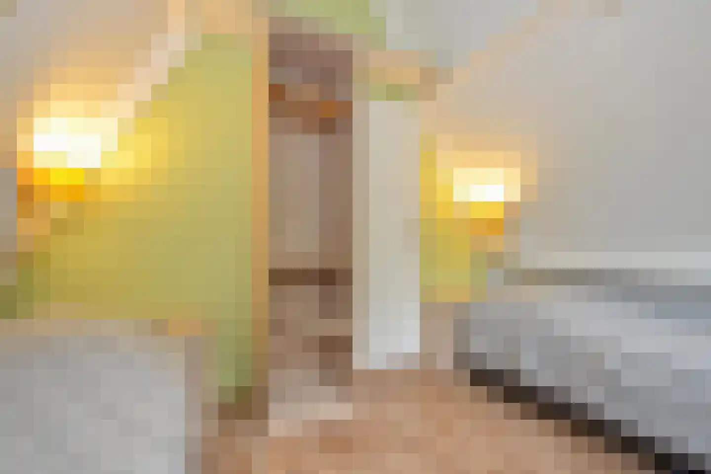 Patrijslaan 4 76 Mierlo thumbnail 23
