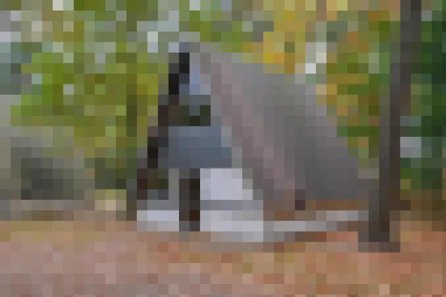 Patrijslaan 4 76 Mierlo thumbnail 25