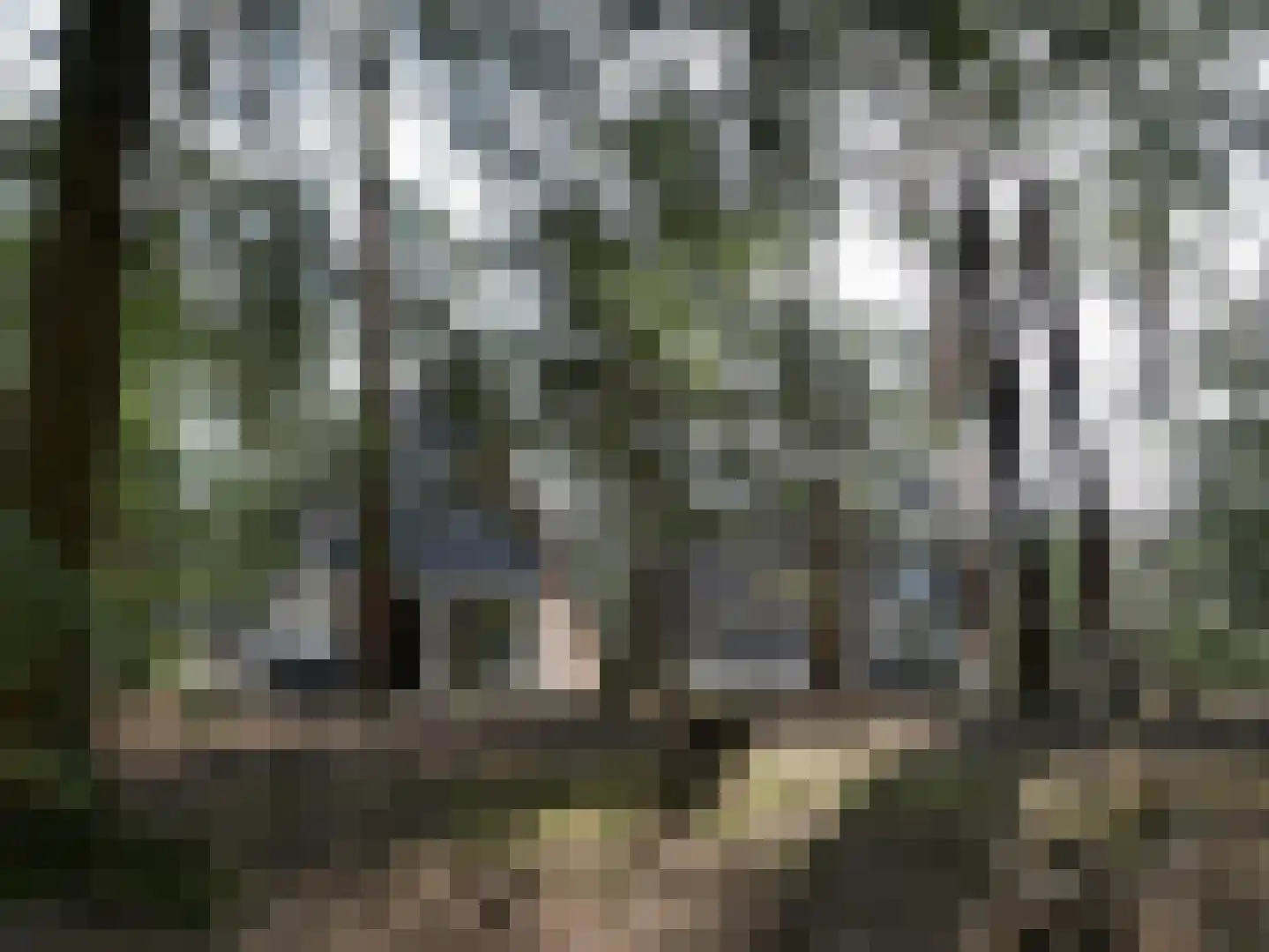 Patrijslaan 4 76 Mierlo thumbnail 39