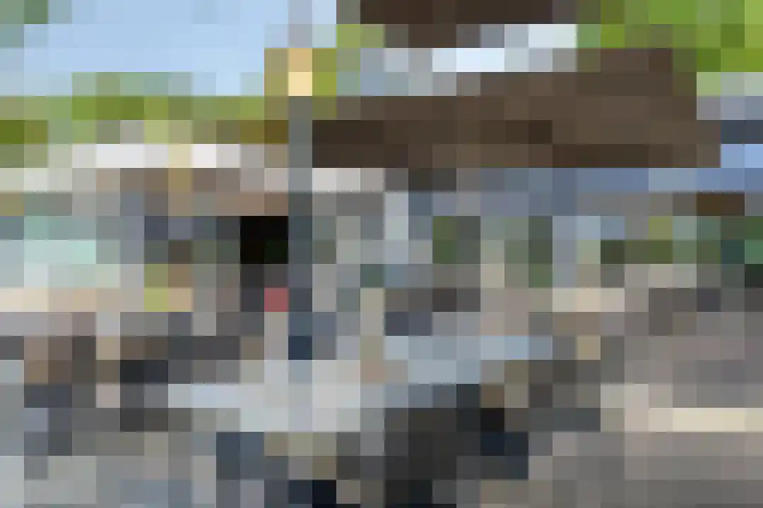 Patrijslaan 4 76 Mierlo thumbnail 43