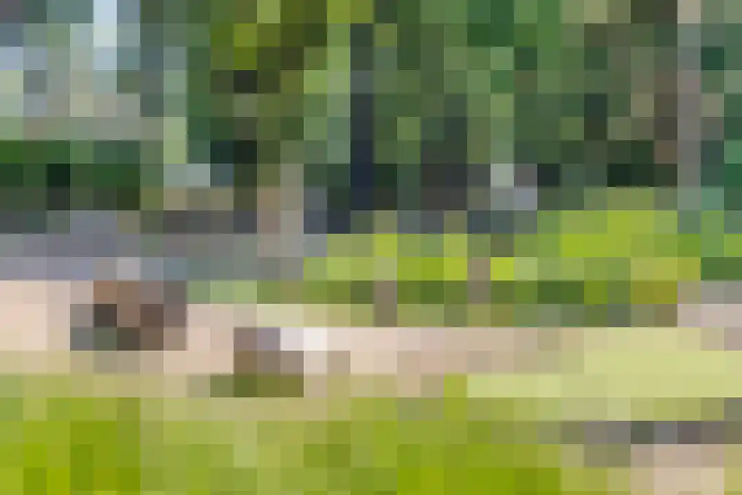Patrijslaan 4 76 Mierlo thumbnail 47