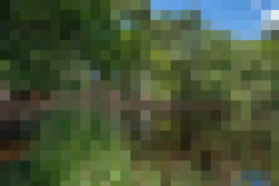 Patrijslaan 4 76 Mierlo thumbnail 5