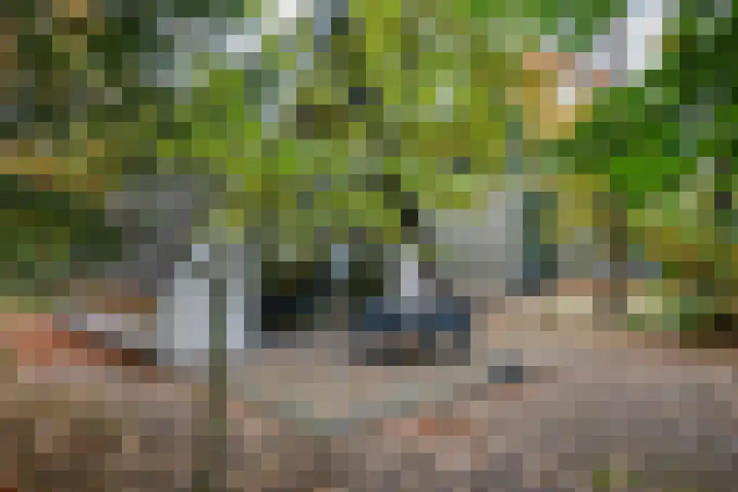Patrijslaan 4 76 Mierlo thumbnail 6