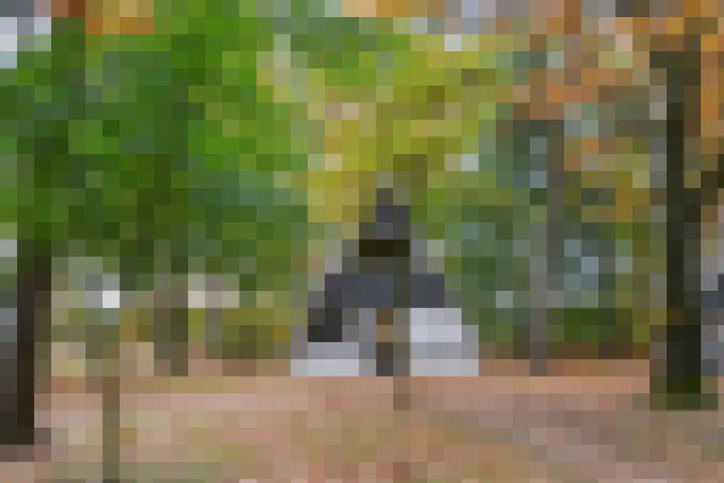 Patrijslaan 4 76 Mierlo thumbnail 7